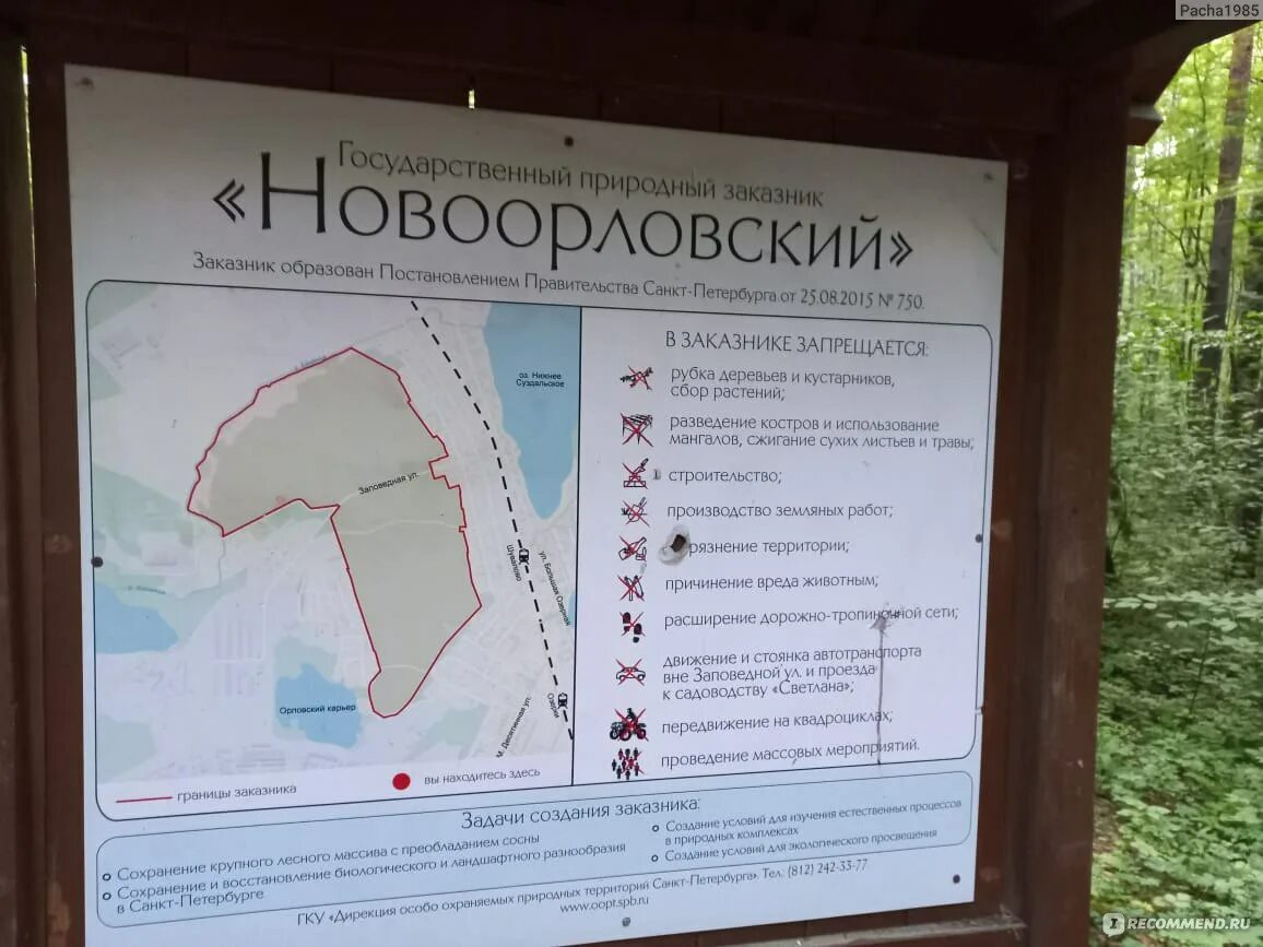 Новоорловский лесопарк. Государственный природный заказник новоорловский санкт петербург. Юнтоловский заказник прогулки. Государственный природный заказник новоорловский санкт петербург. Новоорловский государственный природный заказник, санкт-петербург.