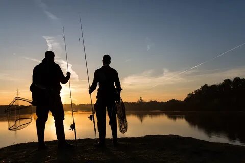 Go fishing