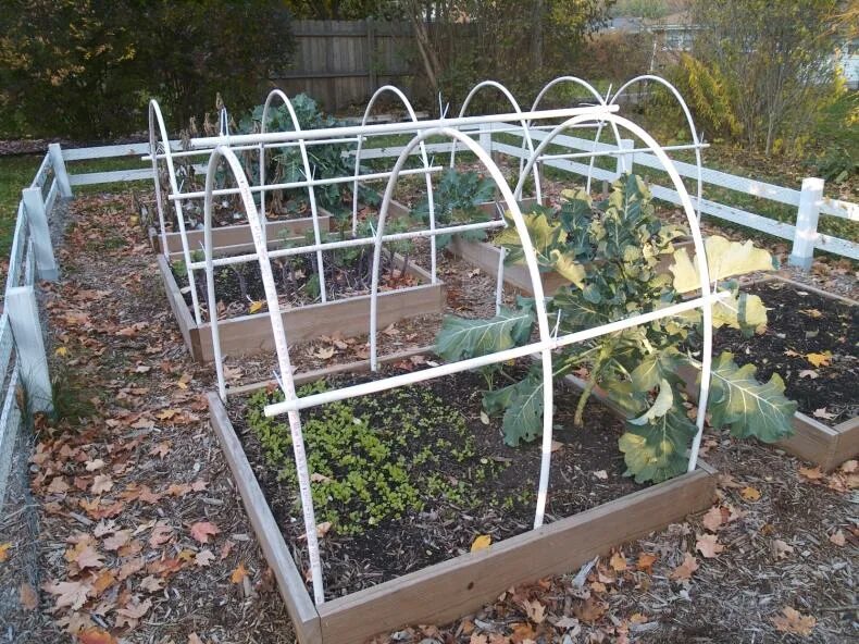 Огуречник парник для огурцов. Огуречник парник. Парник из полипропиленовых труб для огурцов. Парники и теплицы из полипропиленовых труб. Парник из полипропиленовых труб для огурцов.