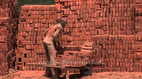 Bricks make a wise life