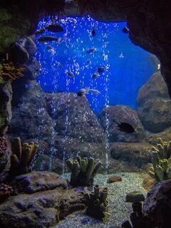 4 sochi discovery world aquarium