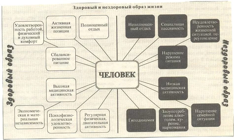 Составляющие ЗОЖ схема. Составляющие здорового образа жизни. Составляющие здорового образа жизни схема. Составляющие ЗОЖ таблица. Составляющие здоровья человека таблица