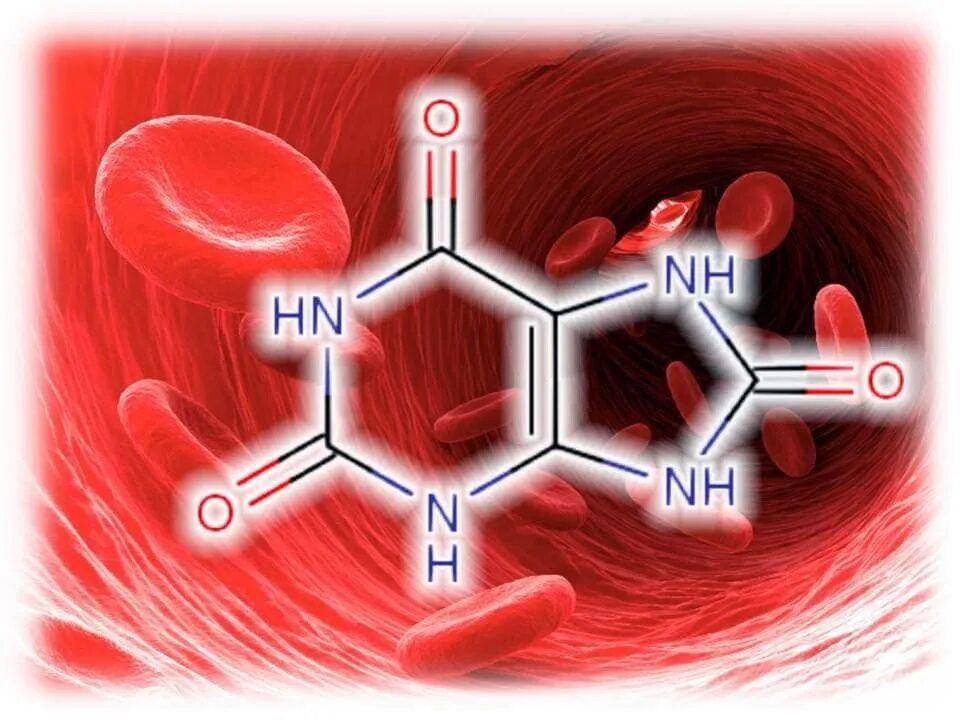 Мочевая кислота. Мочевая кислота в организме. Мочевая кислота формула. Мочевина кислота в крови. Много кислоты в крови
