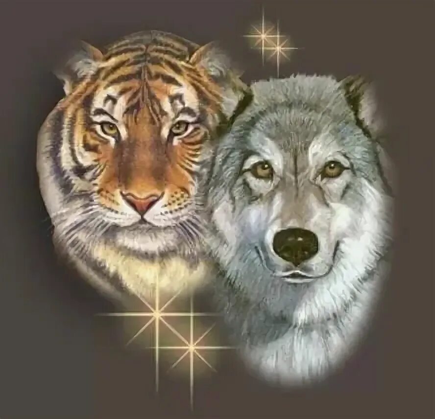 Картинки по запросу фото волка и льва Arte del perro, Lobos, Leones