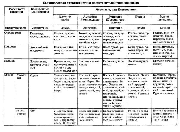 Характеристики пресмыкающихся и млекопитающих таблица. Таблица типа хордовых 7 класс биология. Сравнительная характеристика классов позвоночных животных таблица. Система органов хордовых таблица 7. Общая характеристика позвоночных таблица.