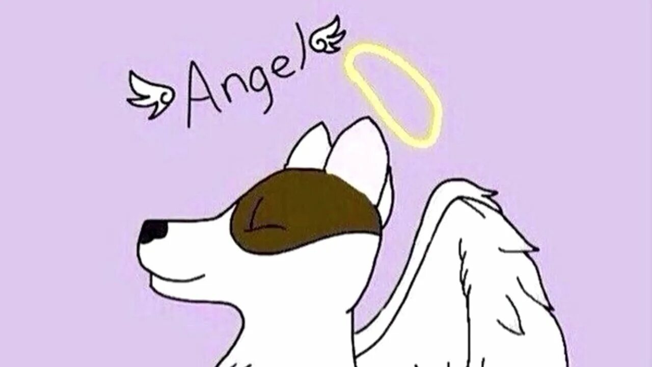 Rip angel. Рип энджел. Rip angel собака. Собаки ангелы на земле. Собака ангел рисунок.