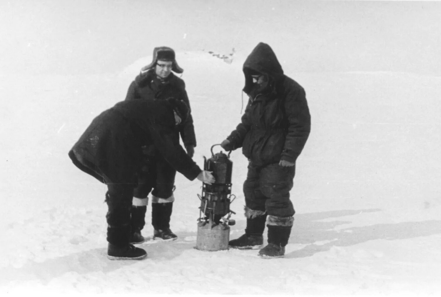 Белый медведь и полярники. Друг детей и полярников. Николай лукич мачуляк. Советские полярники. Полярник и медведь.