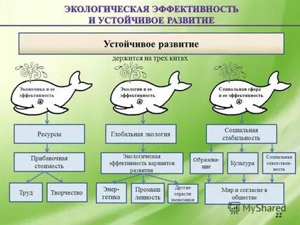 Экологическая модель развития