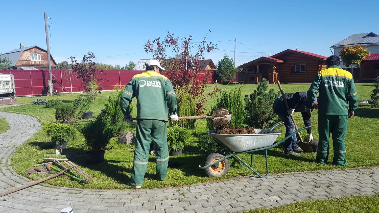 Услуга пересадки