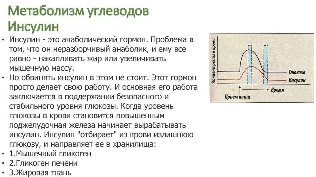 Инсулин и углеводы. Выброс инсулина. Скачок инсулина. Инсулин что делает с гликогеном. Инсулин в течении дня