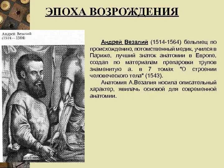 Основоположник современной научной анатомии. Возрождения Андрея Везалия «о строении человеческого тела».