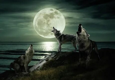 Luna wolf