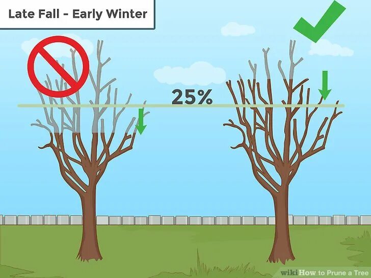 Help me tree