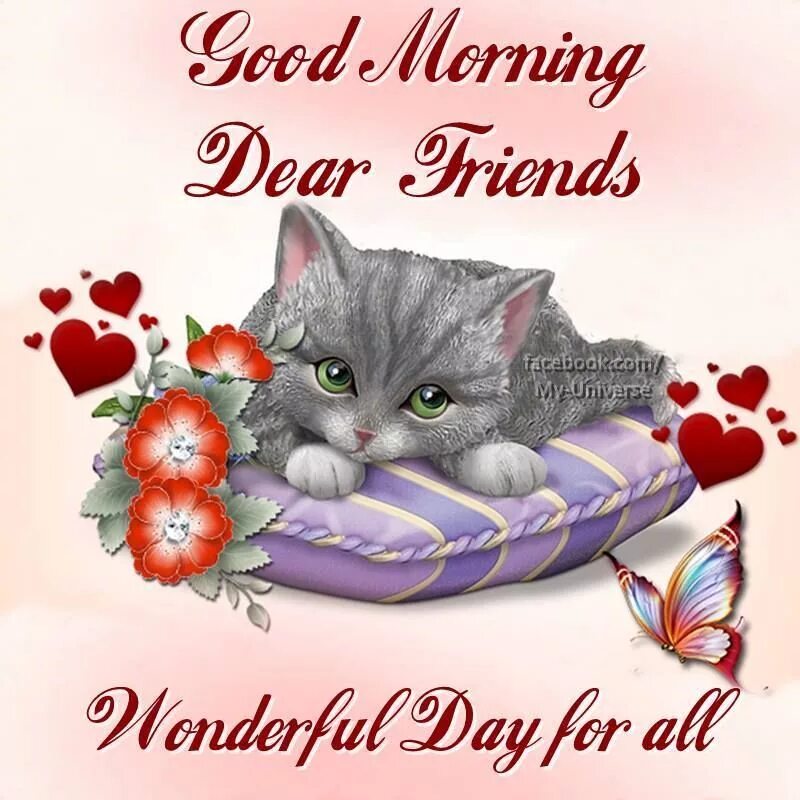 Dear friend good day. Good morning Dear friend. Открытки good morning my Dear. Открытки good morning my friend. Good morning my Dear friend картинки.