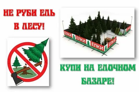 Листовка не руби елки
