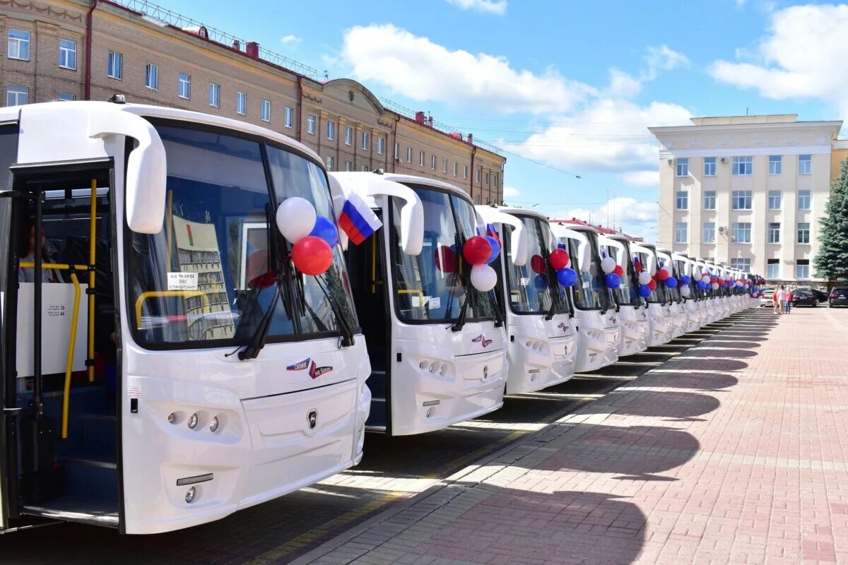 Автобус КАВЗ 4238 Брянск. Автобусы среднего класса. Автобус новое. Новые автобусы в Брянске.