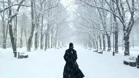 Tombe la neige