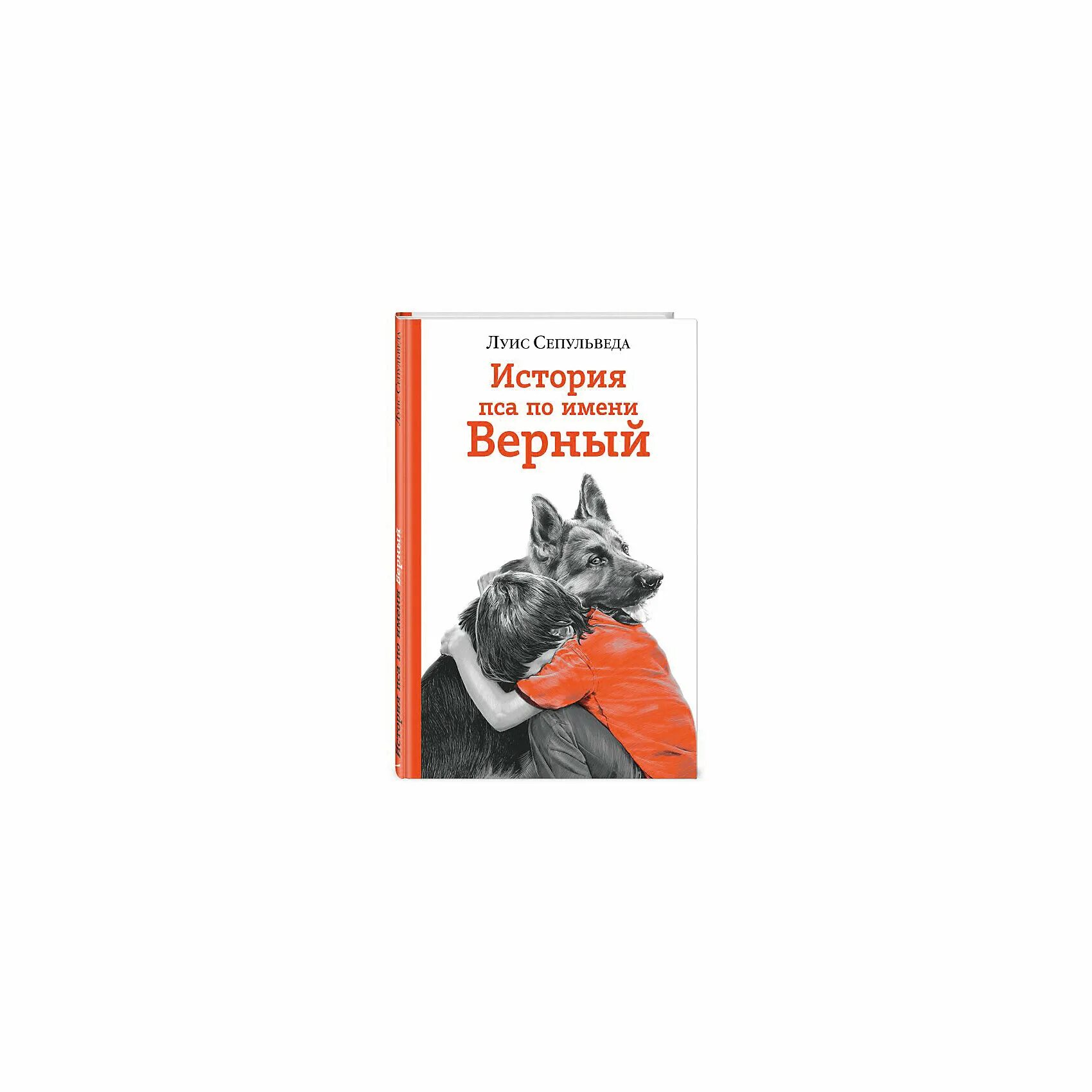 Муж с собакой рассказы. Луис Сепульведа история пса по имени верный. Книги по собакам исторические. Истории про собак книги. История пса по имени верный книга.