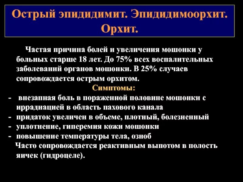 Почему может болеть яичко. Лекарство острый эпидидимит.