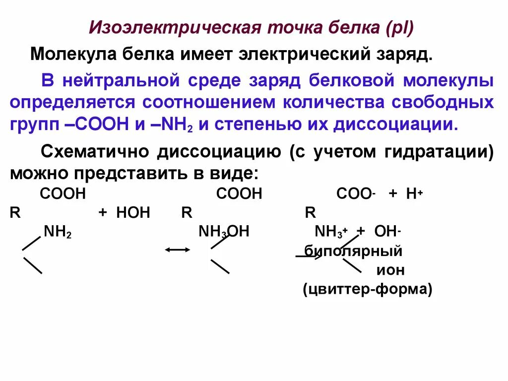 Белковая точка. Изоэлектрическая точка белка. Изоэлектрическая точка. Елка. Заряд белка. Изоэлектрическая точка белка. Заряд белковой молекулы.