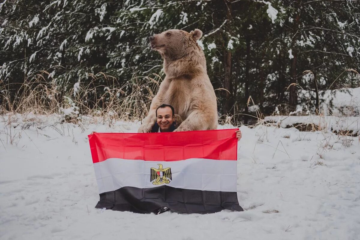 Медведь Россия. Флаг с медведем. Флаг России с медведем. Медведь за Россию.