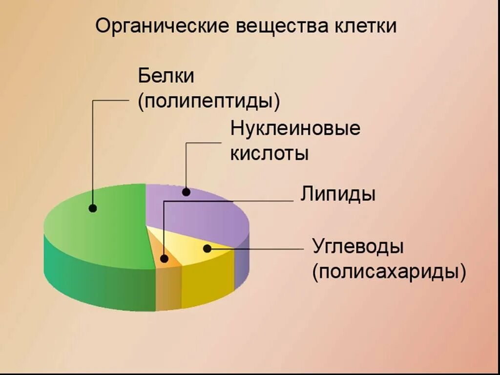 Перечислите вещества клетки. Распределение органических веществ в клетке. какие органические вещества содержат клетки живых организмов. органические вещества клетки диаграмма. органические вещества клетки 10 класс биология.