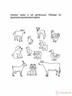 Домашние животные задание 1 4