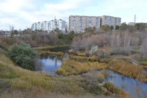 Кубра ульяновская область