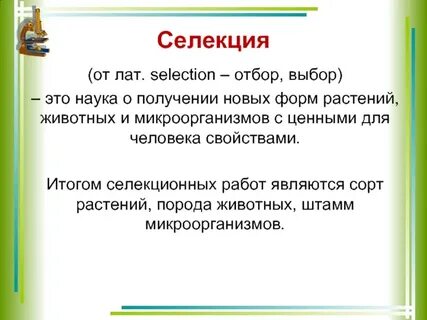 Селекция списка