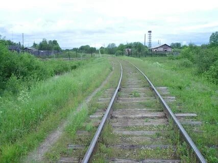 Погода в ерцево