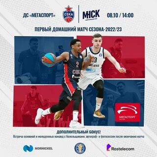 Высшая лига баскетбол мужчины 2024 2025