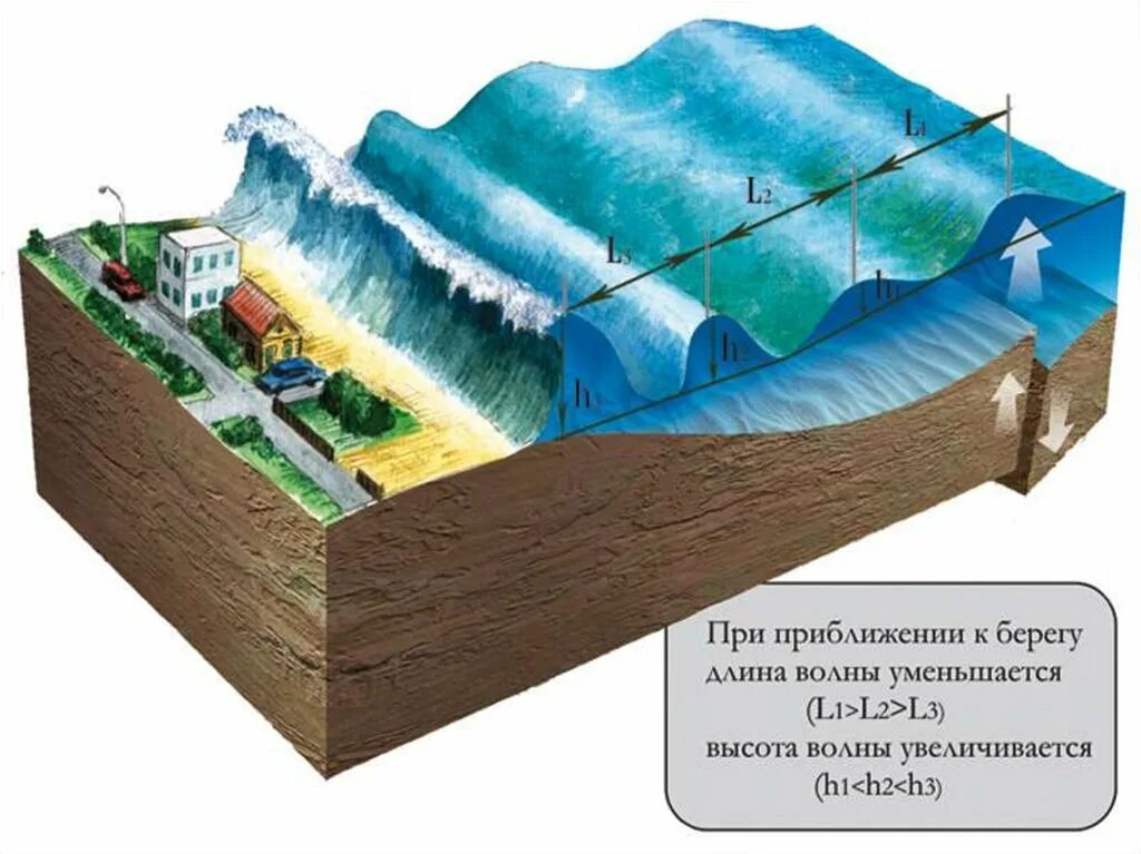 ЦУНАМИ И сейсмические волны. ЦУНАМИ схема возникновения. ЦУНАМИ вызванные подводными землетрясениями. Причины возникновения волн ЦУНАМИ. Движение воды вниз