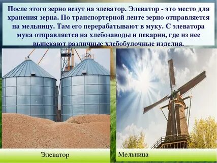 Куда везти