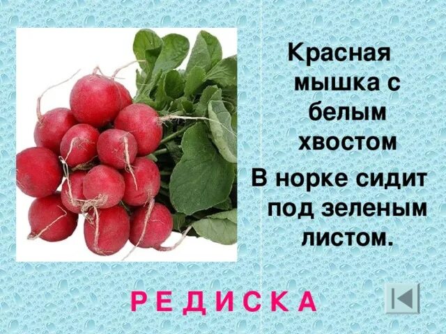 Про красную мышь и зеленую. Красная мышка с белым хвостом в норке сидит под зеленым листом. красная мышка с белым хвостом. красная мышь с зеленым хвостом. хвост белой мышки.