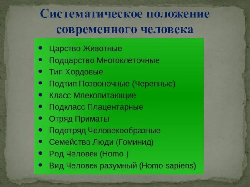 Установите систематическое положение. Сиситематическое полоджение современного человек. систематическое положение современного человека. систематическое положение животных. систематическое положение простейших.