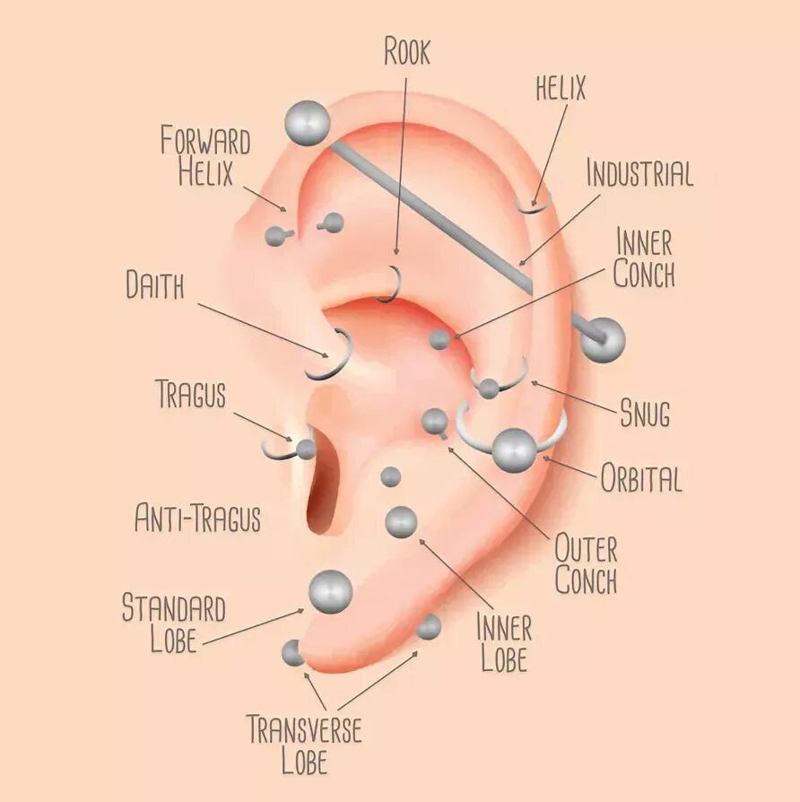 Виды пирсинга ушей названия.