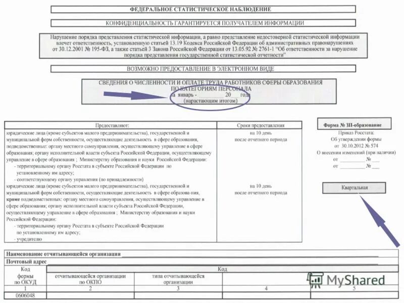 ЗП-образование форма excel. Форма федерального статистического наблюдения. Федеральное статистическое наблюдение. Статистическая отчетность. З п образование