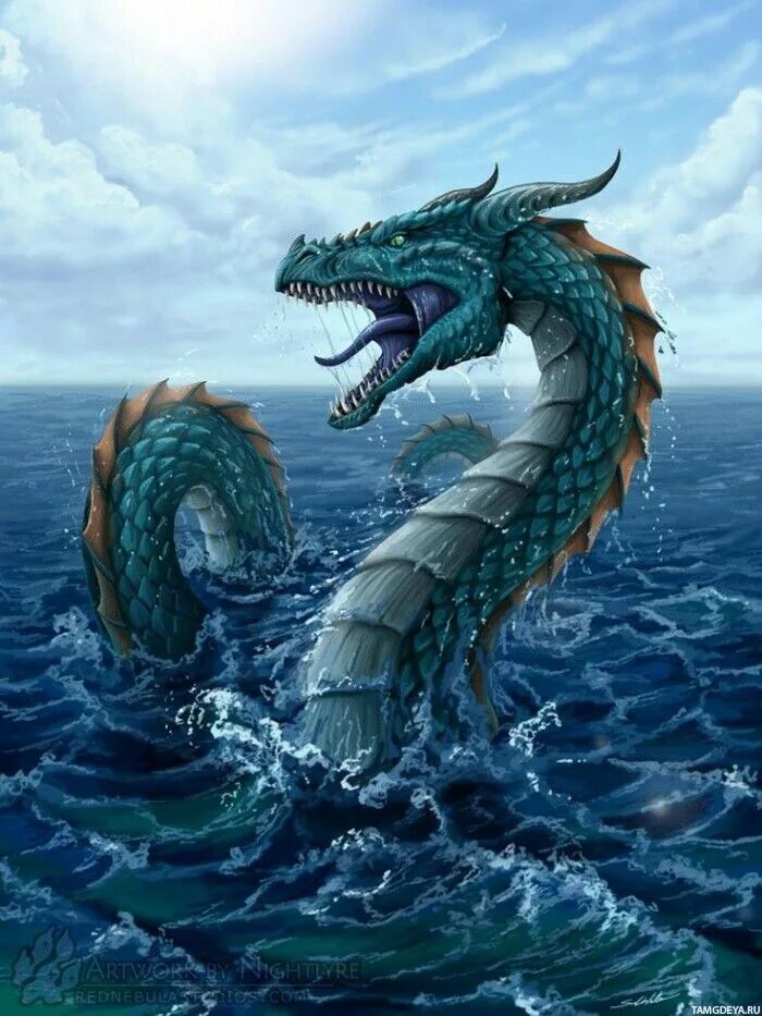 Рюдзин морской дракон. Морской дракон (draco marinus). Рюдзин морской дракон. Морской дракон (draco marinus). Гивр дракон.