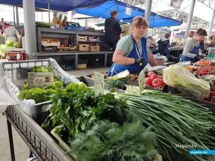 Рынки могилева время работы