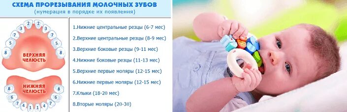 Грудничок зубы в 3 месяца. Грудничок зубы в 3 месяца
