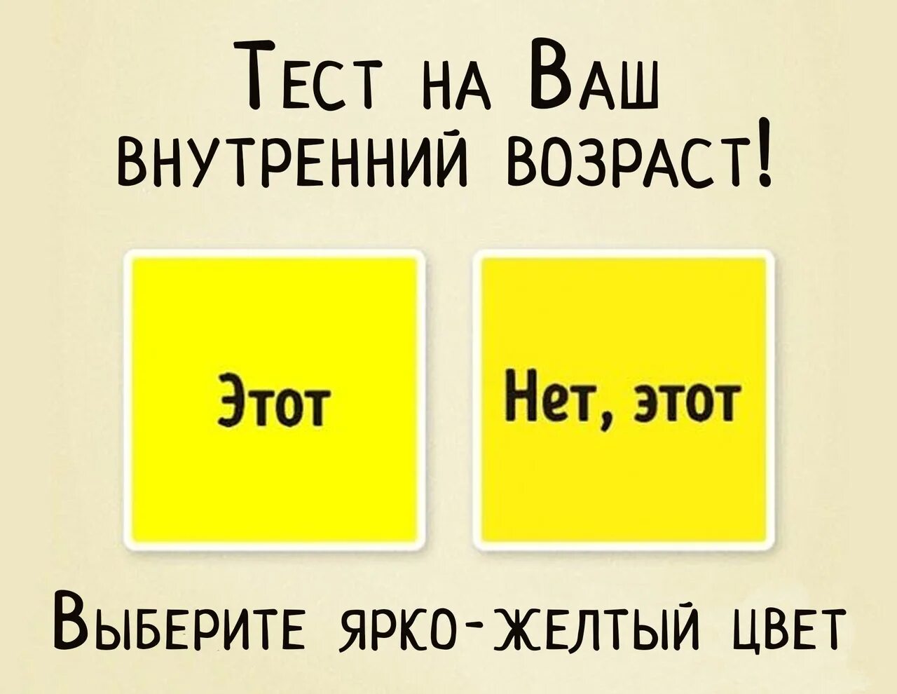 Шуточный тест. Прикольные тесты. Смешные тесты. Шуточный тест для женщин.