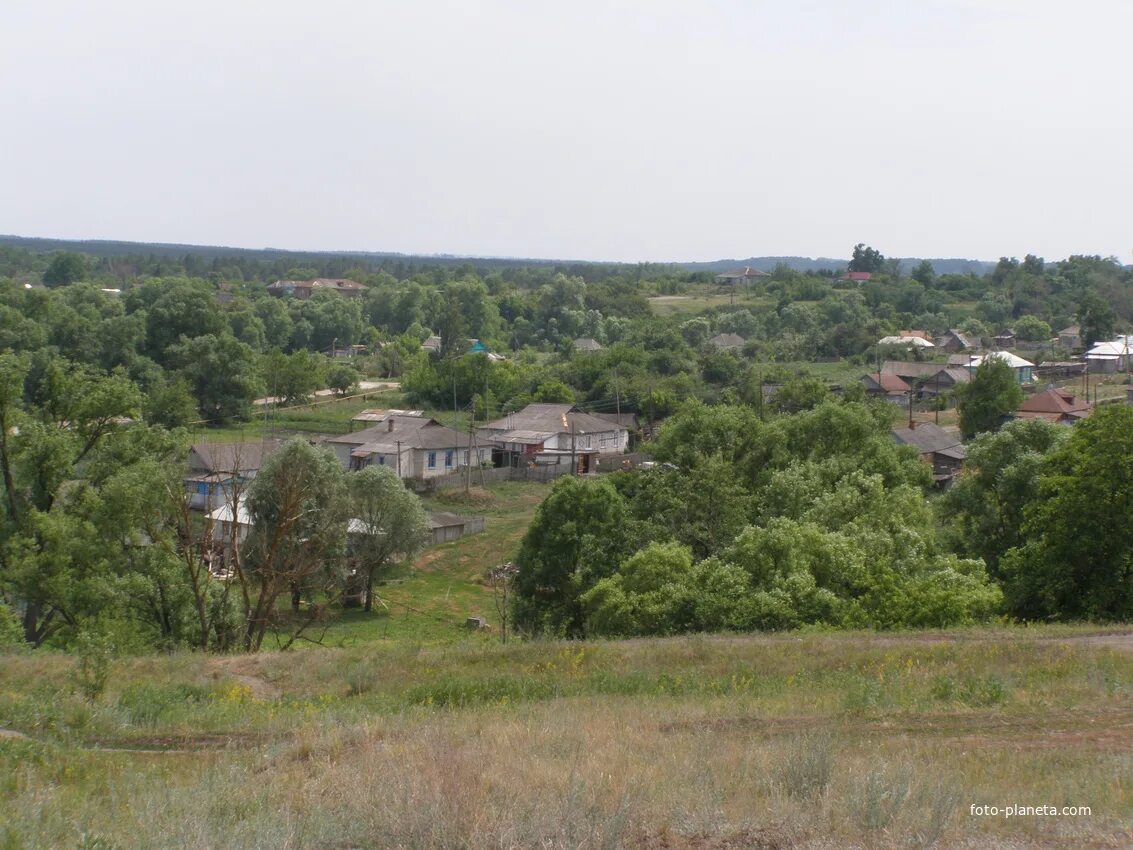 Село Перевесинка Саратовской области. Перевесинка Турковский. Село Перевесинка Турковского района Саратовской. Саратовская область Турковский район село Перевесинка Михайловка.