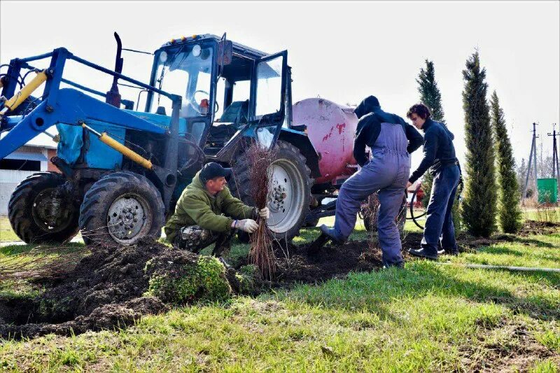 гу мчс группа тихорецкого района. детский сад 9 тейково. тк зеленая линия тихорецк. больница станица архангельская тихорецкий район. работа в тихорецком районе.