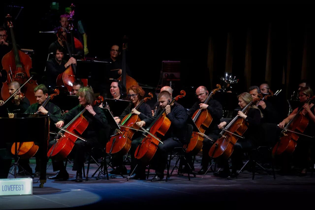 Оркестр струнно смычковых инструментов. Скрипка входит в симфонический оркестр. Инструмент симфонического оркестра альт. Ярославский губернаторский симфонический оркестр. Симфоник оркестр.