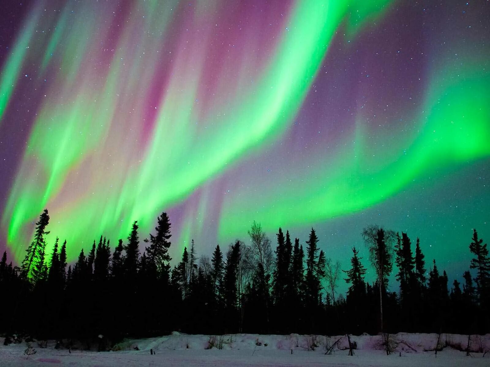 Северное сияние Хатанга Таймыр. Aurora Borealis Северное сияние. Аляска Северное сияние. Северное сияние Northern Lights. Природные явления тундры