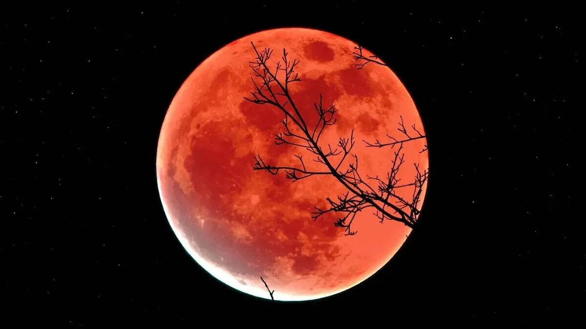 14 мая 2023 года. Лунное затмение 16 мая 2022. Moon Eclipse 2021. Кровавая Луна 8 ноября 2022. Затмение Луны Кровавая Луна.
