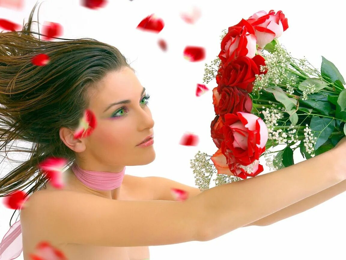 любимые цвета.