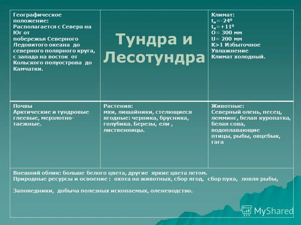 Природные ресурсы природно хозяйственных зон россии. Географическое положение климат и почвы. Лесотундра таблица. Лесотундра географическое положение климат почвы. Лесотундра географическое положение климат почва растения животные.