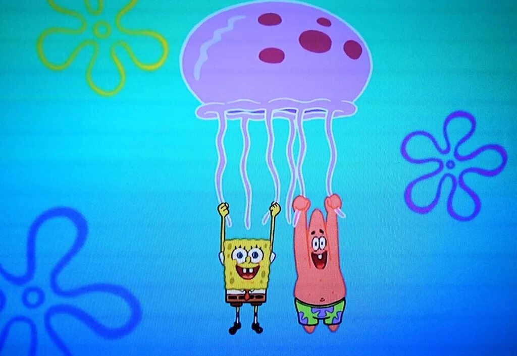 Вылов медуз. Морская оса медуза. Ловят медуз. Озеро медуз. Губка боб королева медуз.