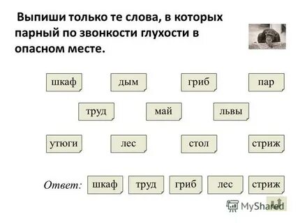10 слов с парными словами